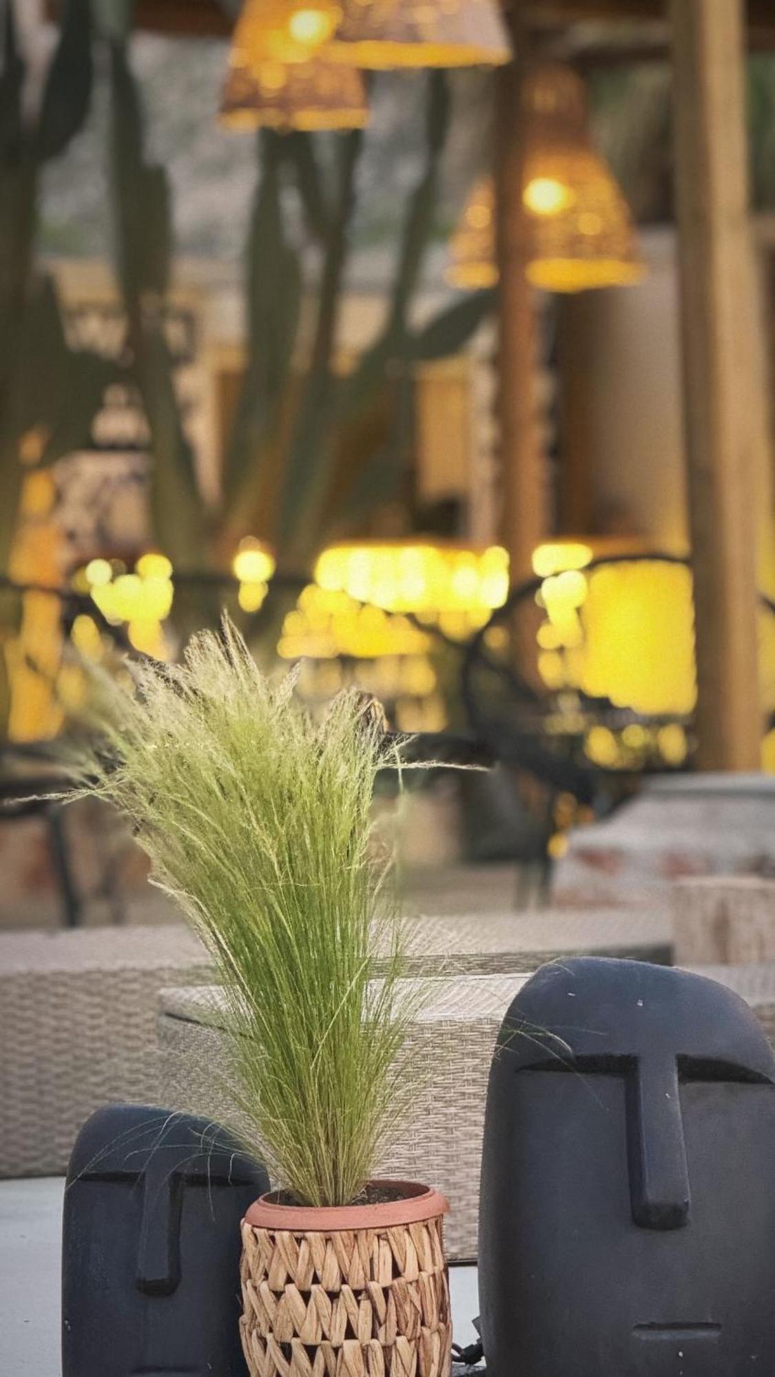 La Casa Di Lusso N6 -Adults Only Βίλα Κολύμπια Εξωτερικό φωτογραφία